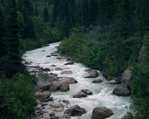Alaskan Stream