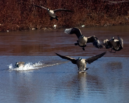 Anatomy of a Landing