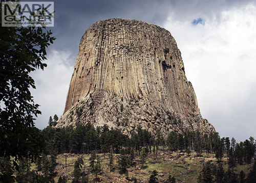 Devils Tower