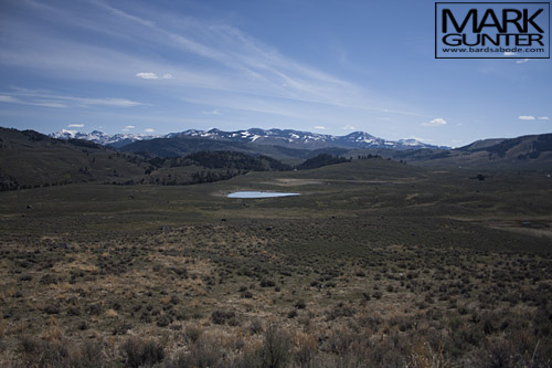 East from Junction Butte
