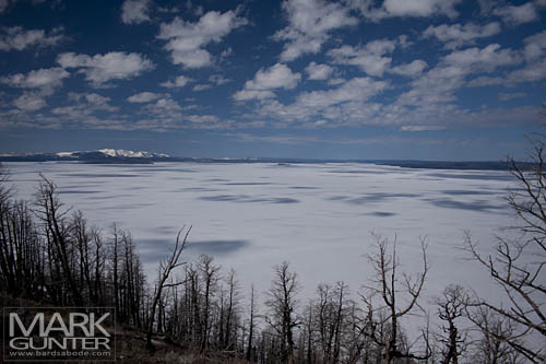 Lake Yellowstone