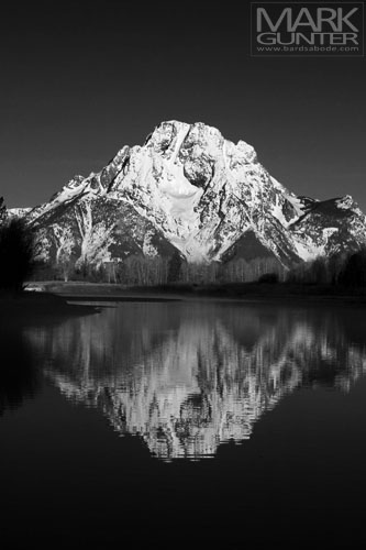 Mt. Moran